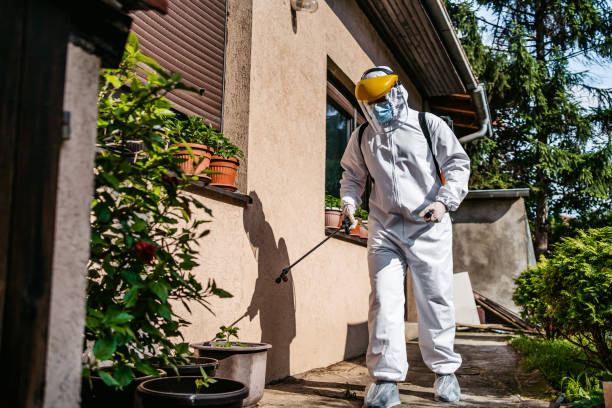 Best Local Pest Control Services  in Pembroke, NC