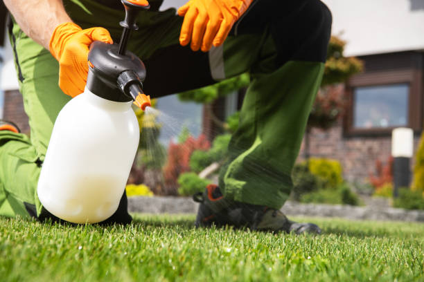 Best Emergency Pest Control  in Pembroke, NC