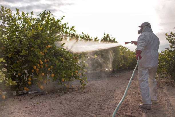 Best Cockroach Control Services  in Pembroke, NC