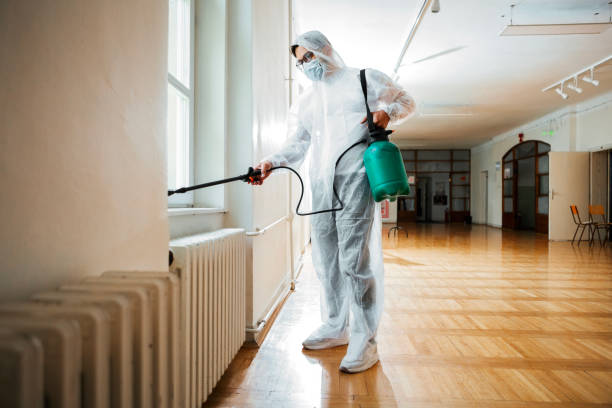 Best Termite Control Services  in Pembroke, NC