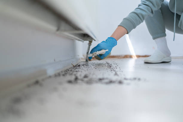Reliable Pembroke, NC Pest Control Solutions